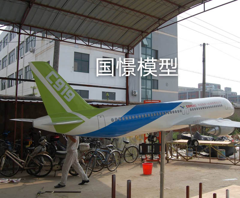 贞丰县飞机模型